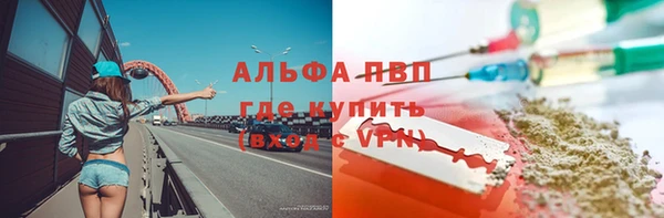сатива Вяземский