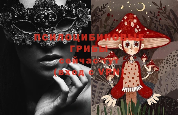 сатива Вяземский