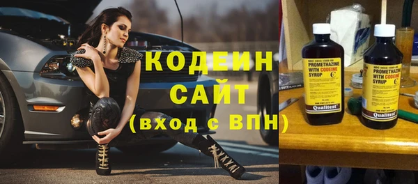 сатива Вяземский
