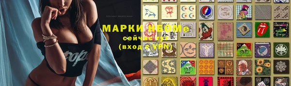 тгк Гусев